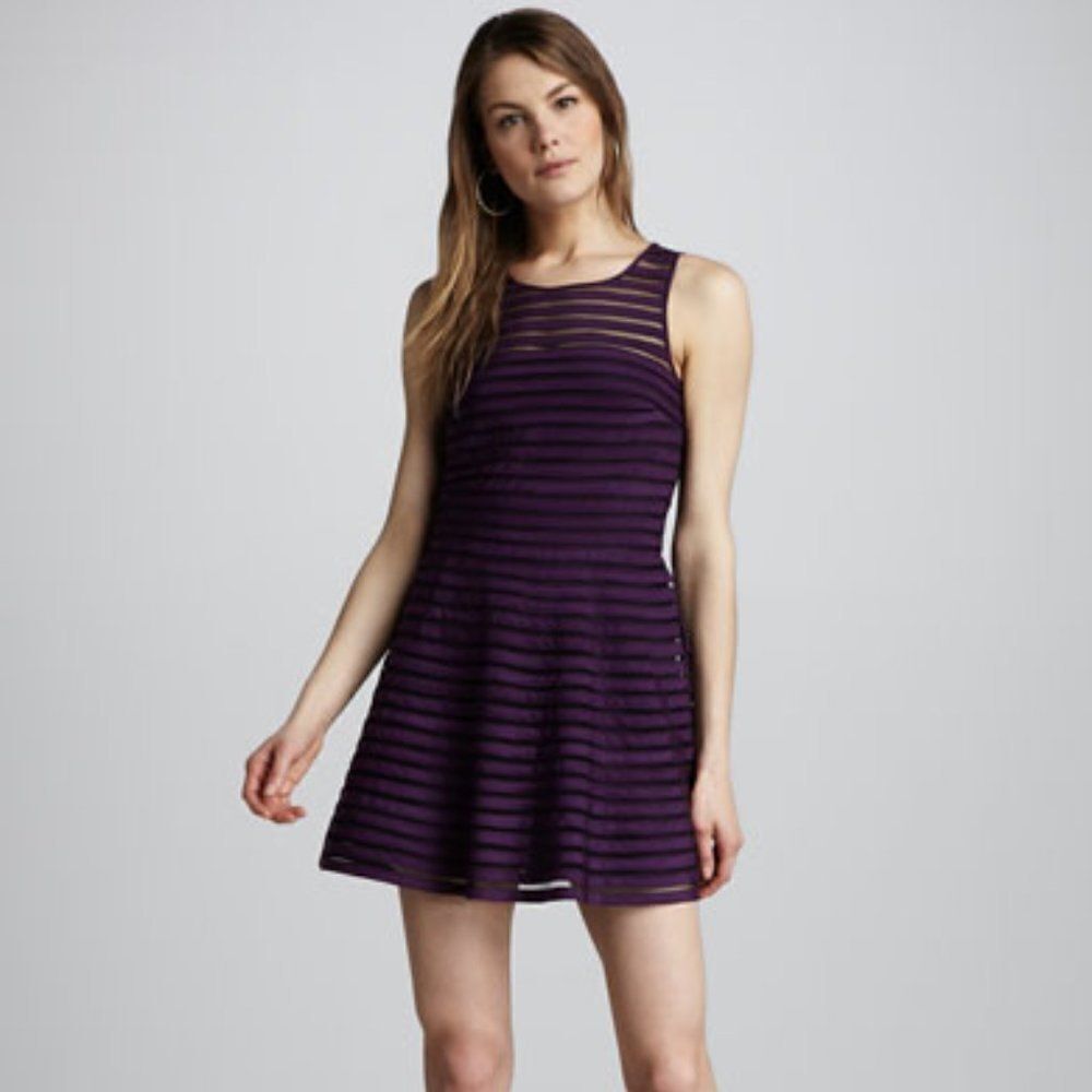 Parker Mesh Stripe Fit and Flare Purple Dress